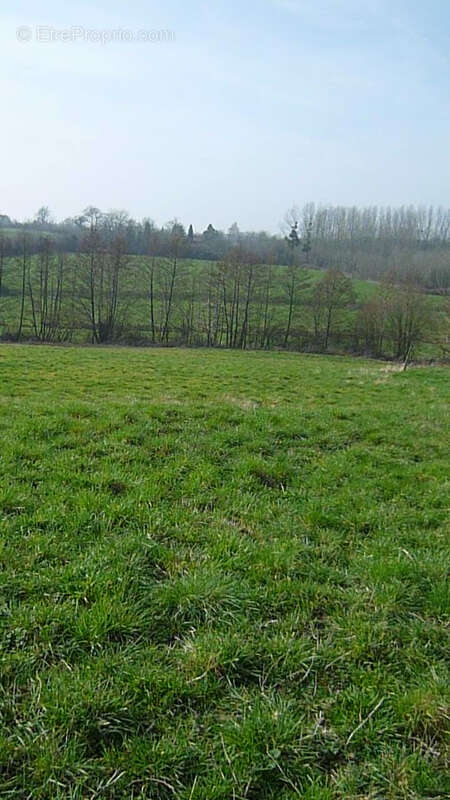 Terrain à MENNEVILLE