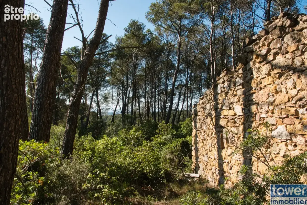 Fabrezan-Terrain 4 ha non constructible en Zone Naturelle - photo 8