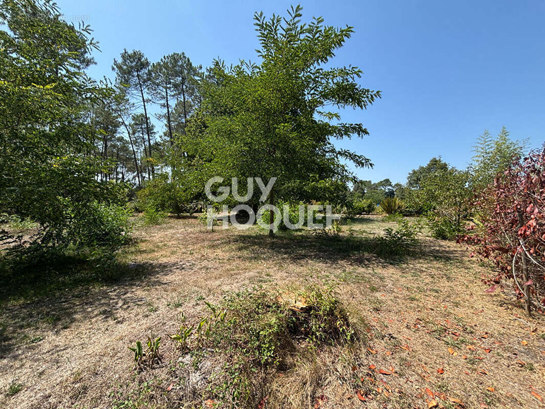 Terrain hors lotissement à Onesse Laharie d'une surface de 1284 m² - photo 2