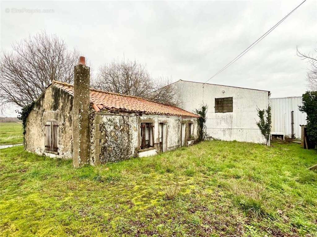 2 - Commerce à SAINT-HILAIRE-DE-RIEZ