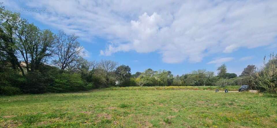 Terrain à PUGET-SUR-ARGENS