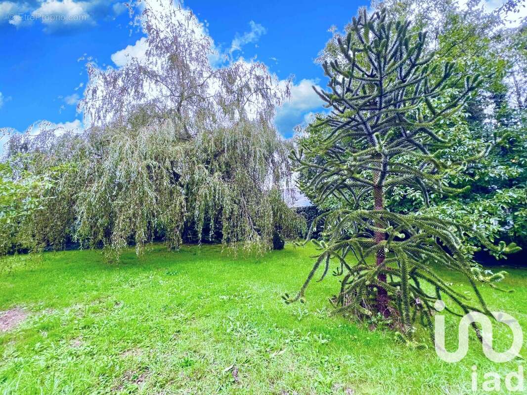 Photo 2 - Maison à LOUDEAC