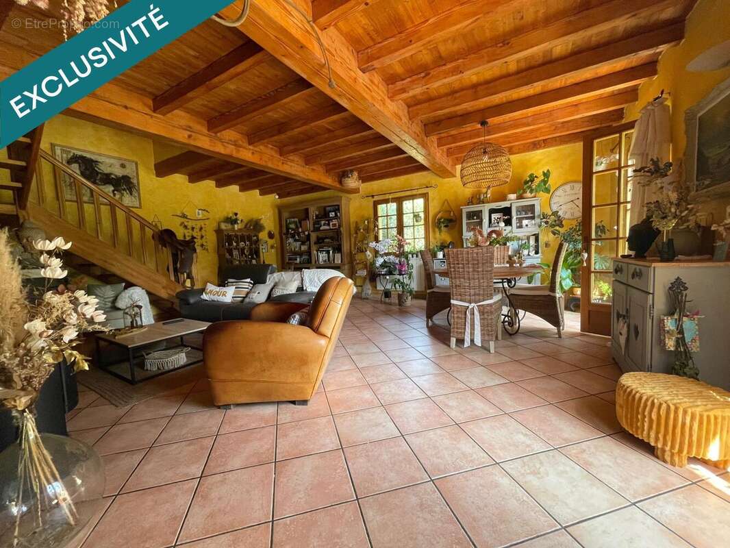 Photo 4 - Maison à LA BARTHE-DE-NESTE