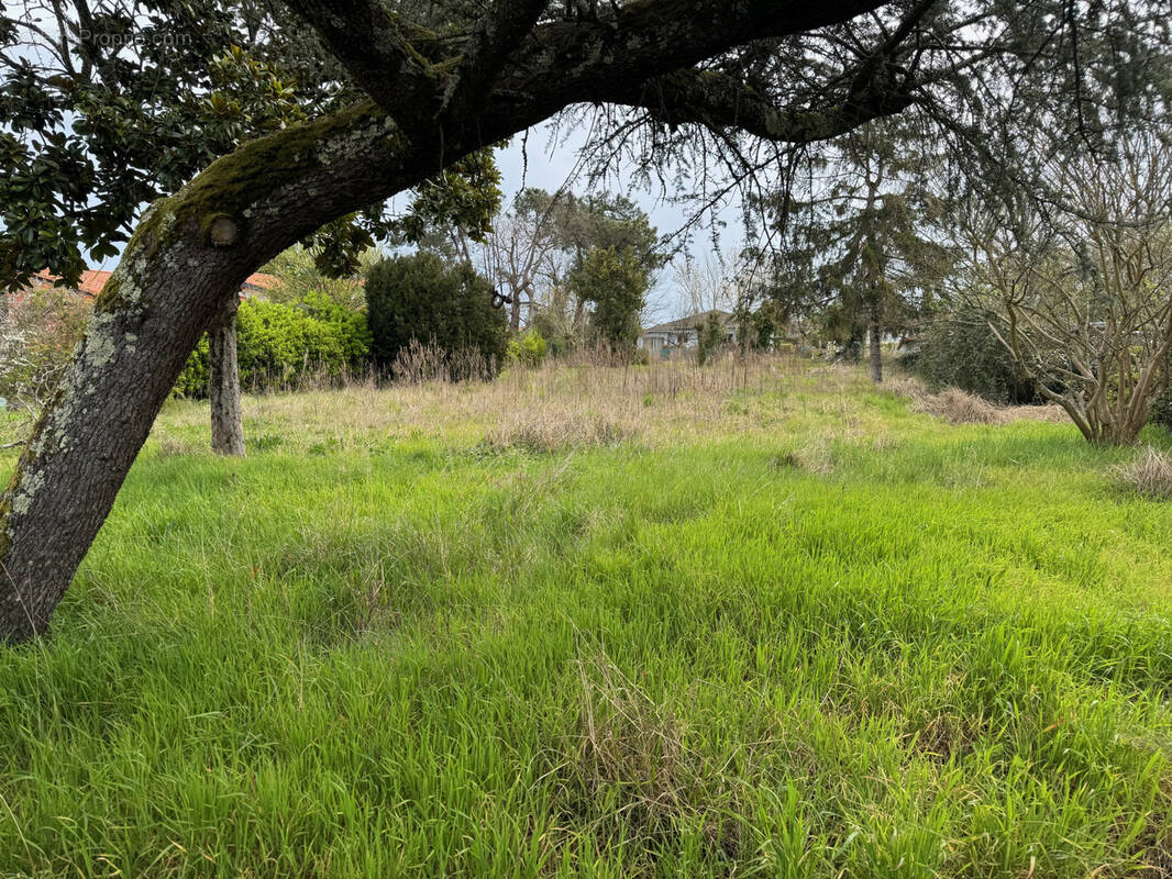 Terrain à GUJAN-MESTRAS