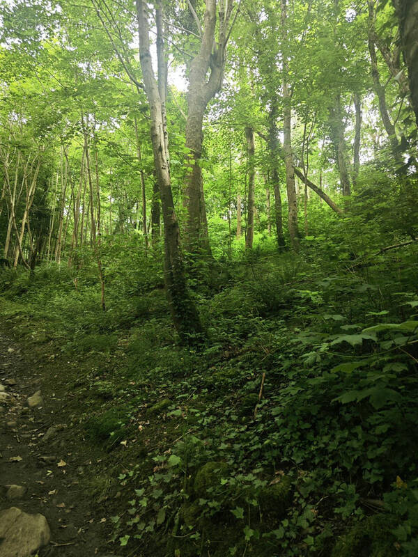 Terrain à MUTRECY