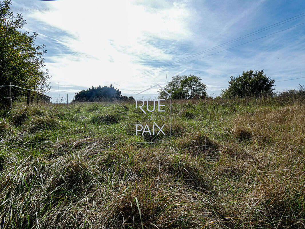 Autre à SAVIGNY-SOUS-FAYE