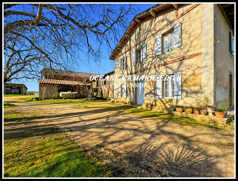 Propriéte agricole secteur EAUZE (32) Maison Gasconne 10 Pièces + Nombreux hangars 2 LACS SANS VIS à VIS - photo 10