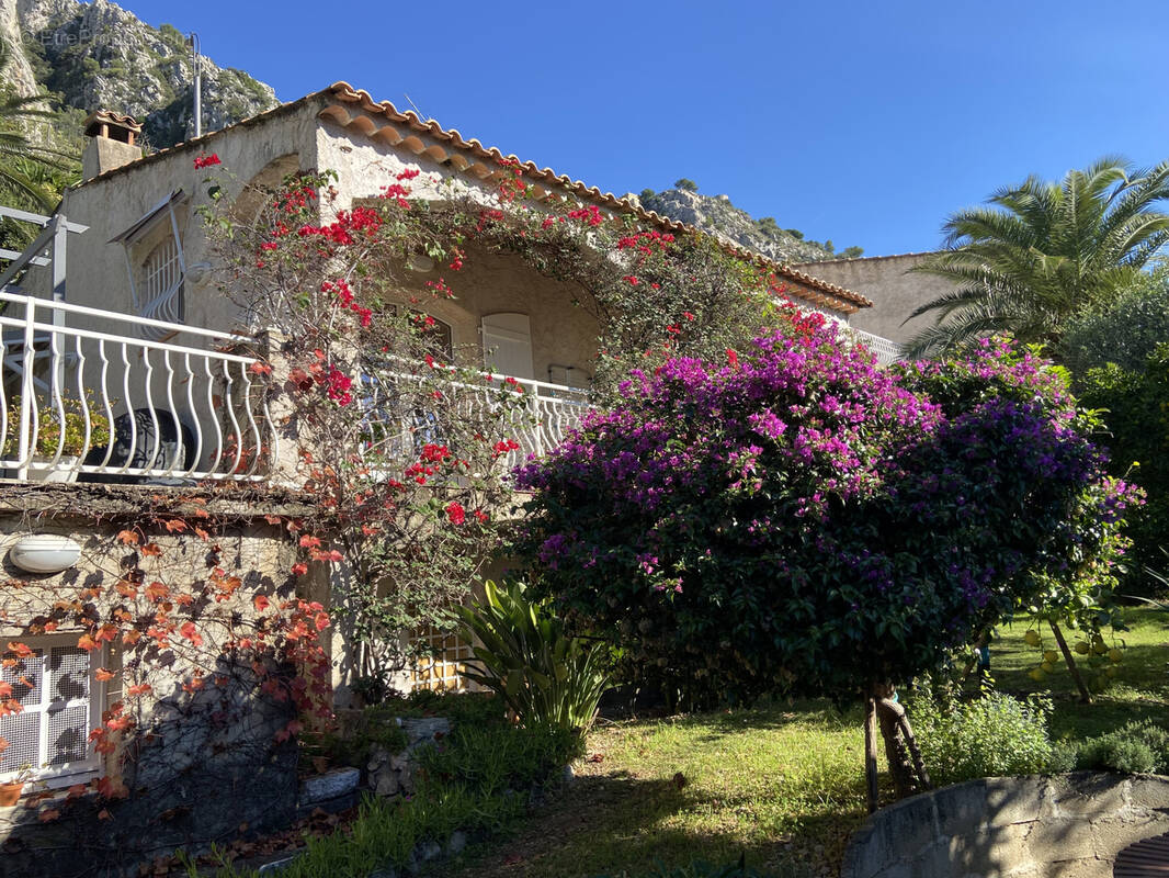 Maison à MENTON