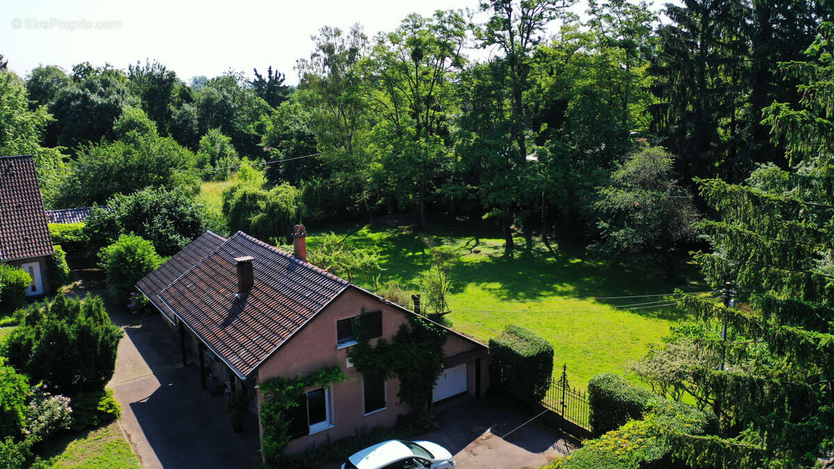 Maison à SCHILTIGHEIM