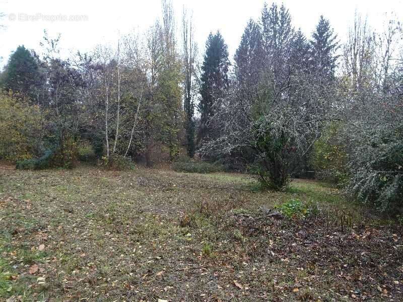 A panazol beau terrain de 8182 m² avec cu dans une impasse - photo 5
