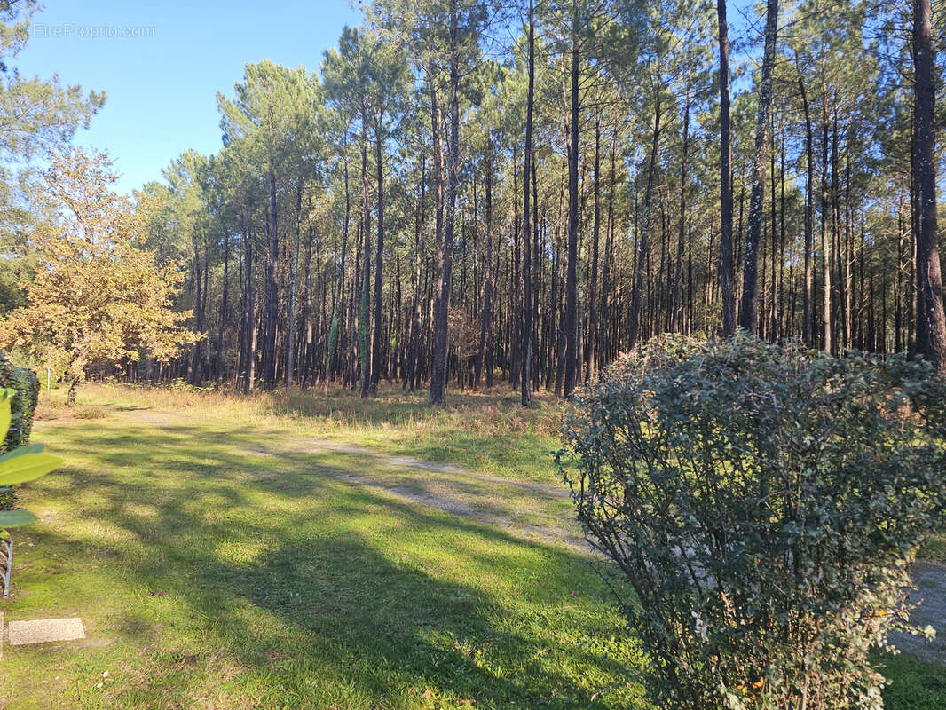 Maison à LIT-ET-MIXE