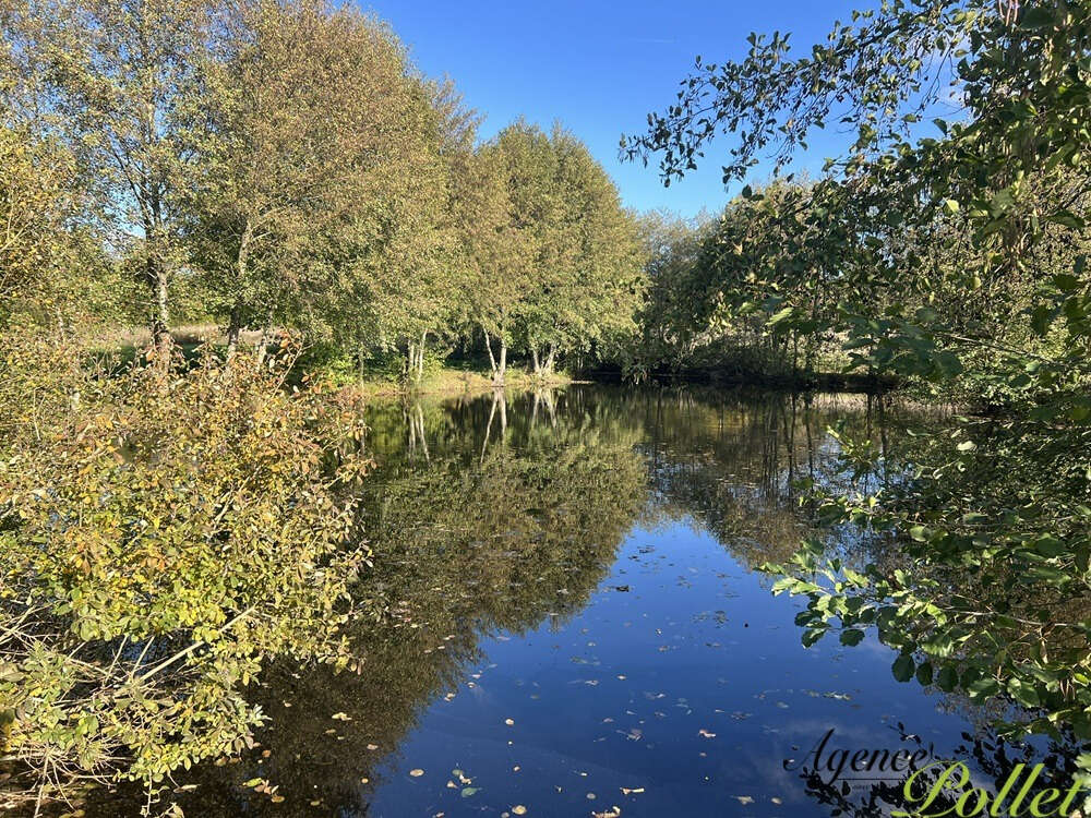 Maison à IVOY-LE-PRE