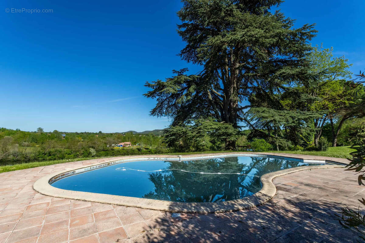 Country manor with barn and pool - photo 5