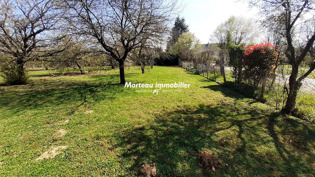 Terrain à SAVIGNE-L&#039;EVEQUE