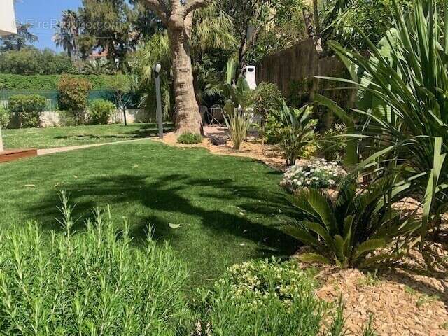 Juan-les-Pins – Centre-ville, 3 pieces en rez de jardin - photo 11