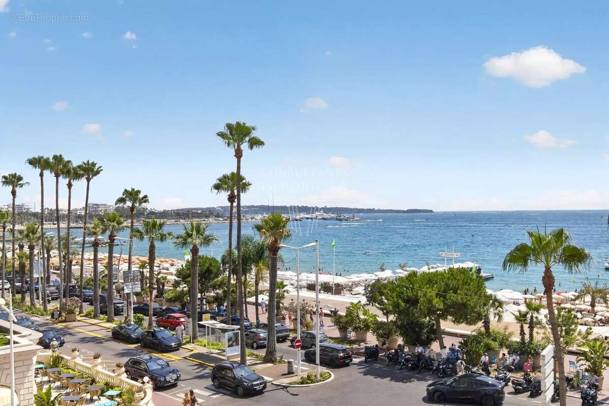 La croisette - superbe appartement/terrasse - photo 26