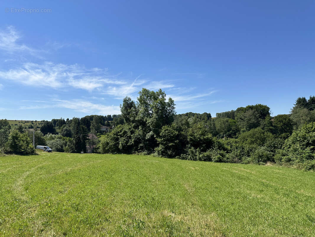 Terrain constructible de 6363 m2 sur la commune d'Uriménil - photo 10