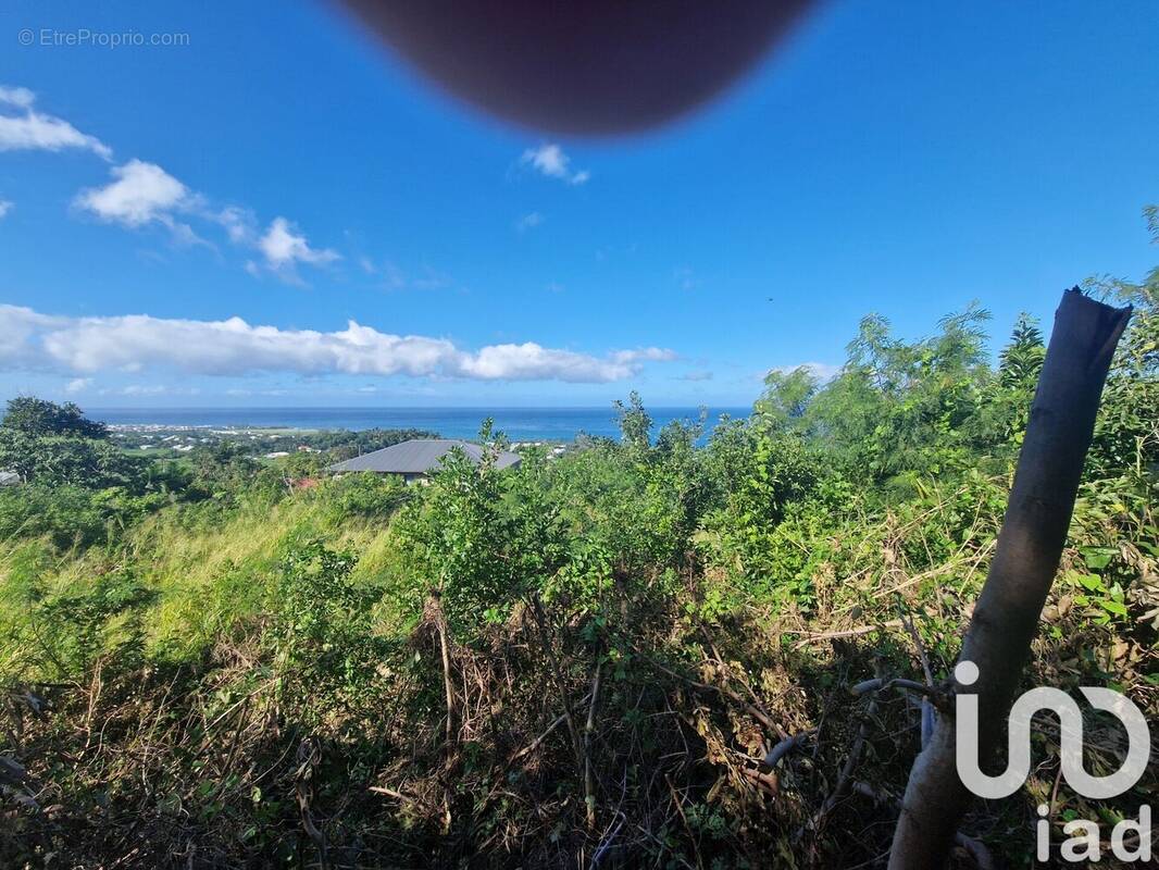 Photo 1 - Terrain à SAINT-JOSEPH