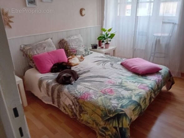 Appartement à CUSSET