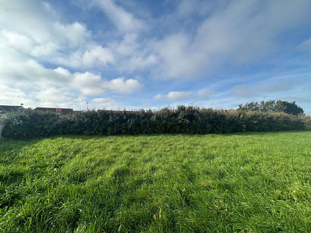 Terrain à SAINT-MICHEL-EN-L'HERM