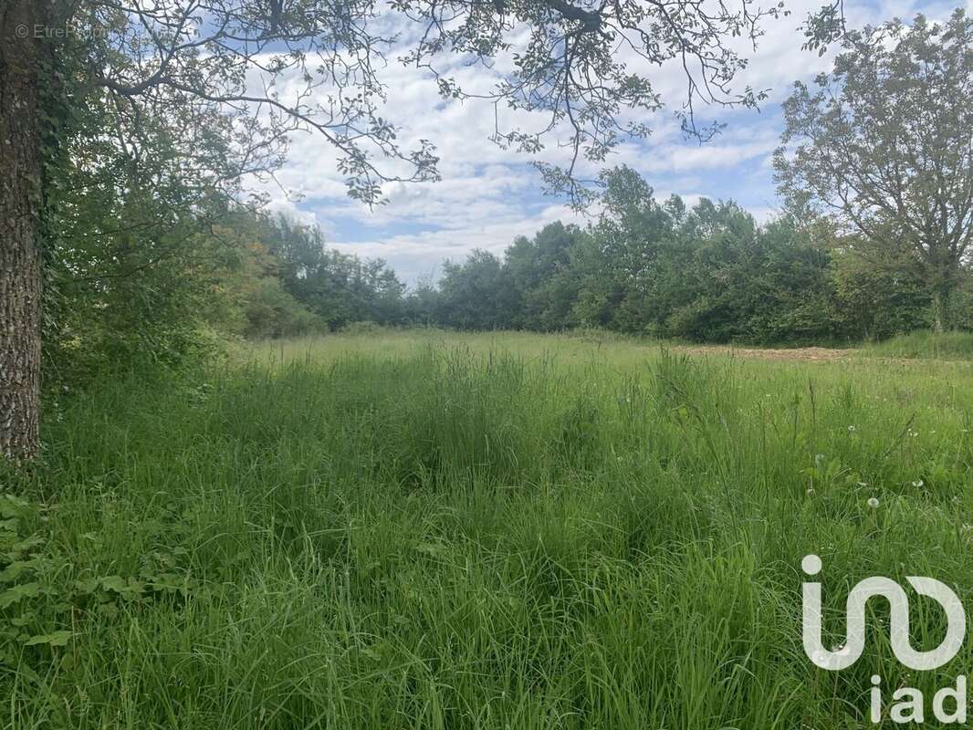 Photo 4 - Terrain à BAUDRES