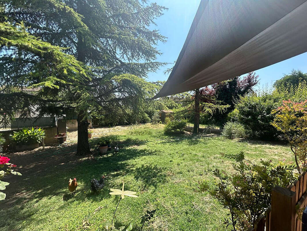 Maison à ENTRAIGUES-SUR-LA-SORGUE