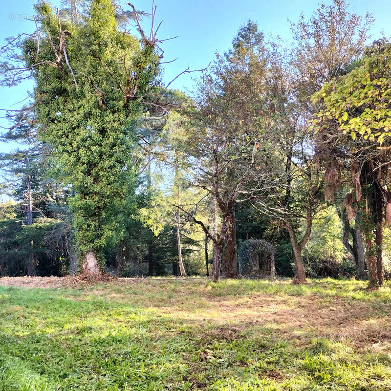 Maison à TACHOIRES