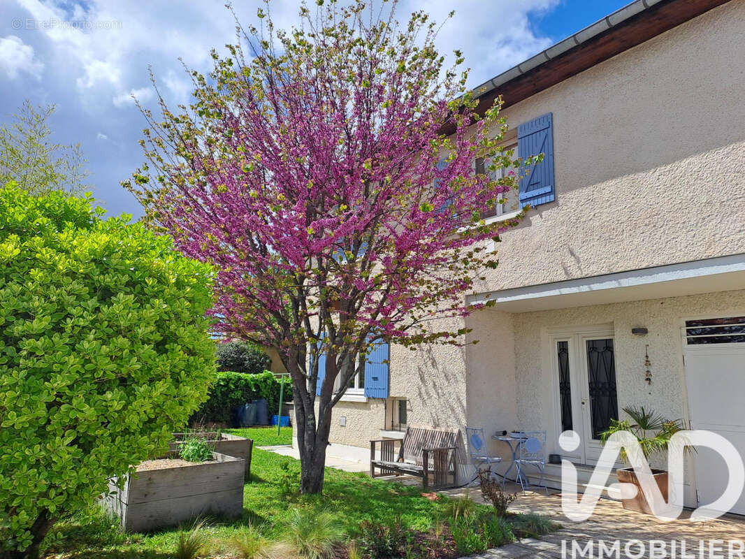 Photo 2 - Maison à TOULOUSE