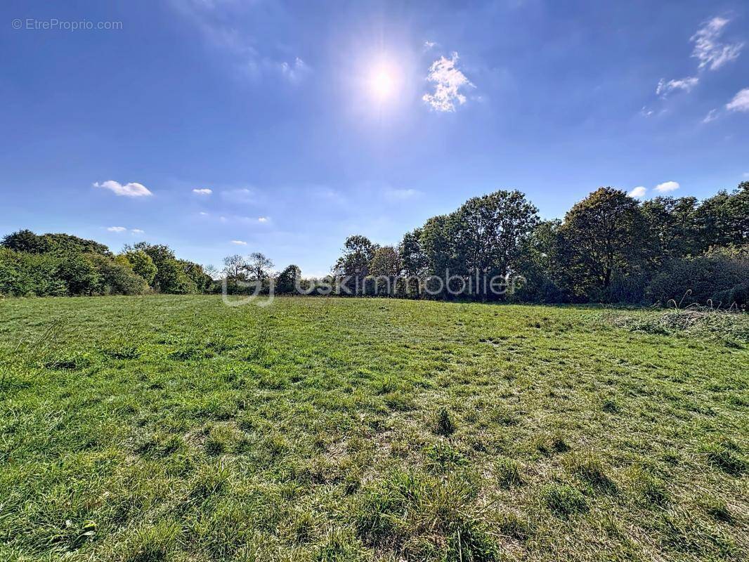 Terrain à CANTELOUP