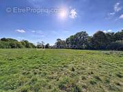 Terrain à CANTELOUP