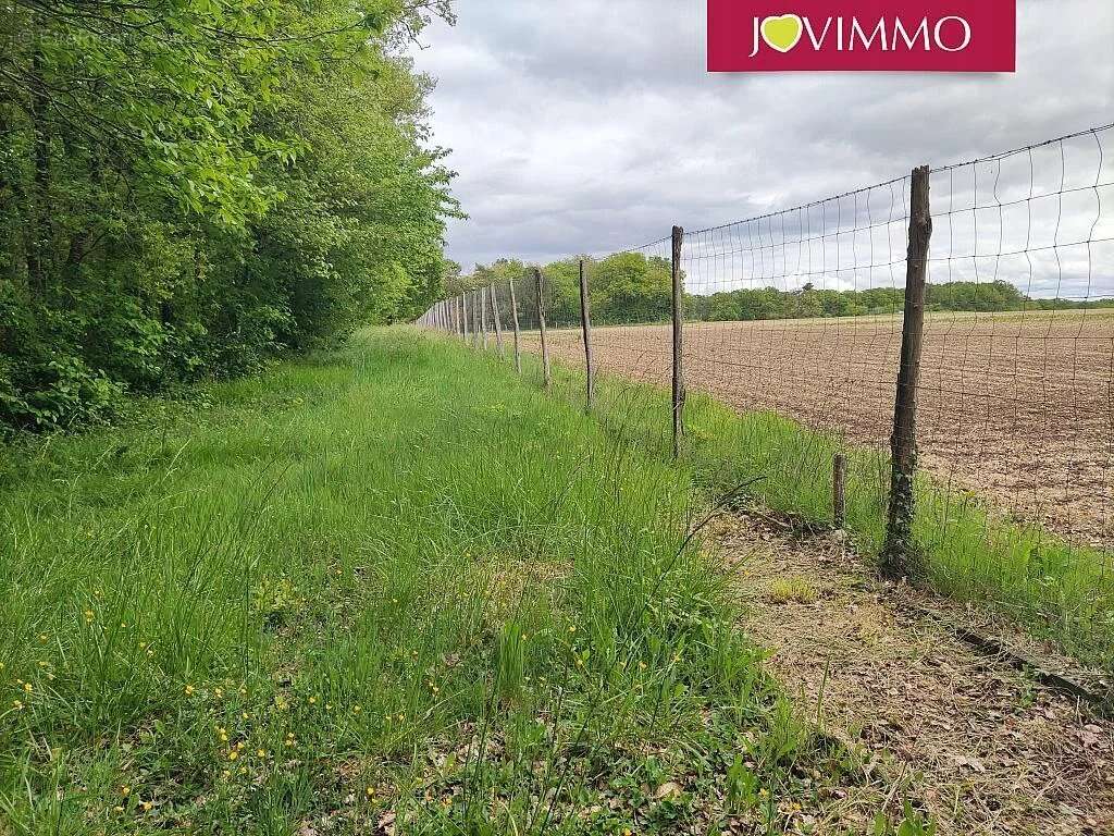 Terrain à MIGNALOUX-BEAUVOIR