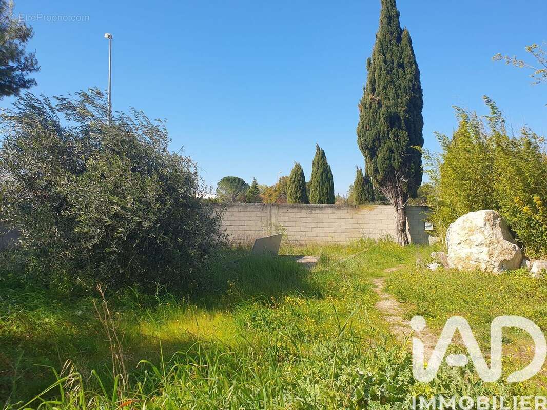 Photo 2 - Maison à MOLLEGES