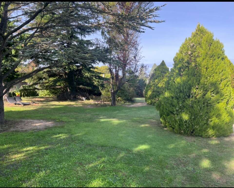 Terrain 550 m² à Saint-Savournin  - photo 2