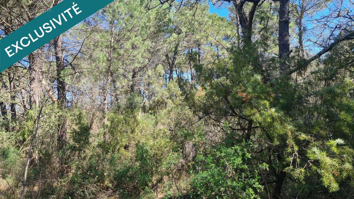 Photo 4 - Terrain à BESSE-SUR-ISSOLE