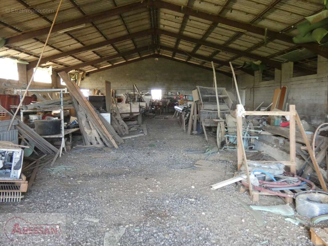 Commerce à CORDES-SUR-CIEL