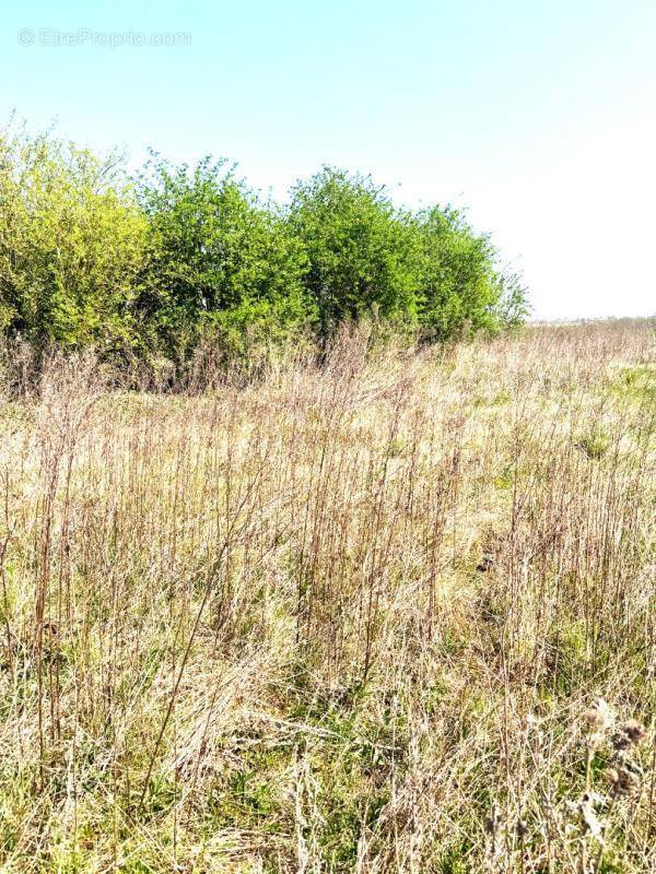 Terrain à MAREST-DAMPCOURT