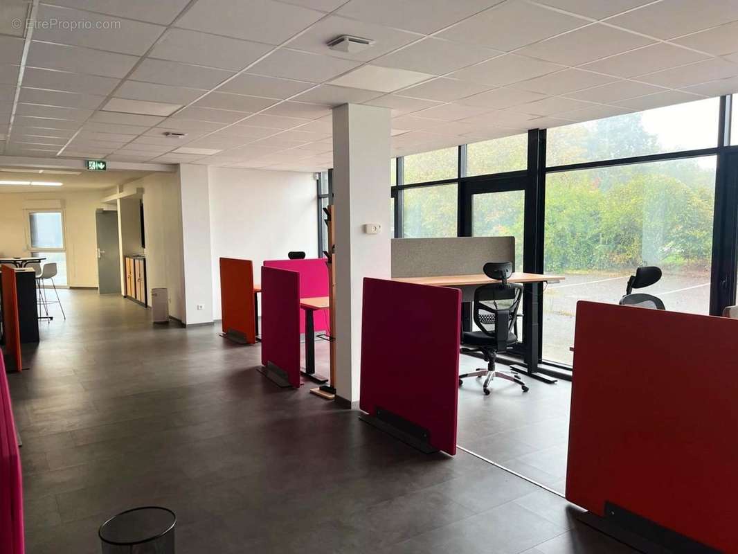 Commerce à MARCKOLSHEIM