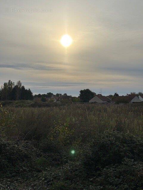 Terrain à SAINT-JEAN-LE-BLANC