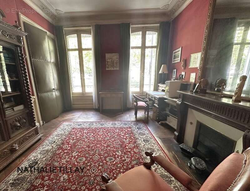 Orleans, centre, a vendre, hôtel particulier 400 m², jardin - photo 8