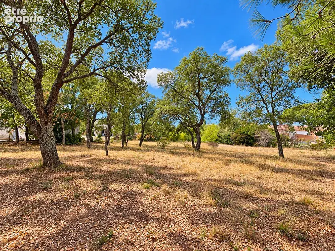 Photo Terrain à Le Cannet-Des-Maures au prix de 99 000€