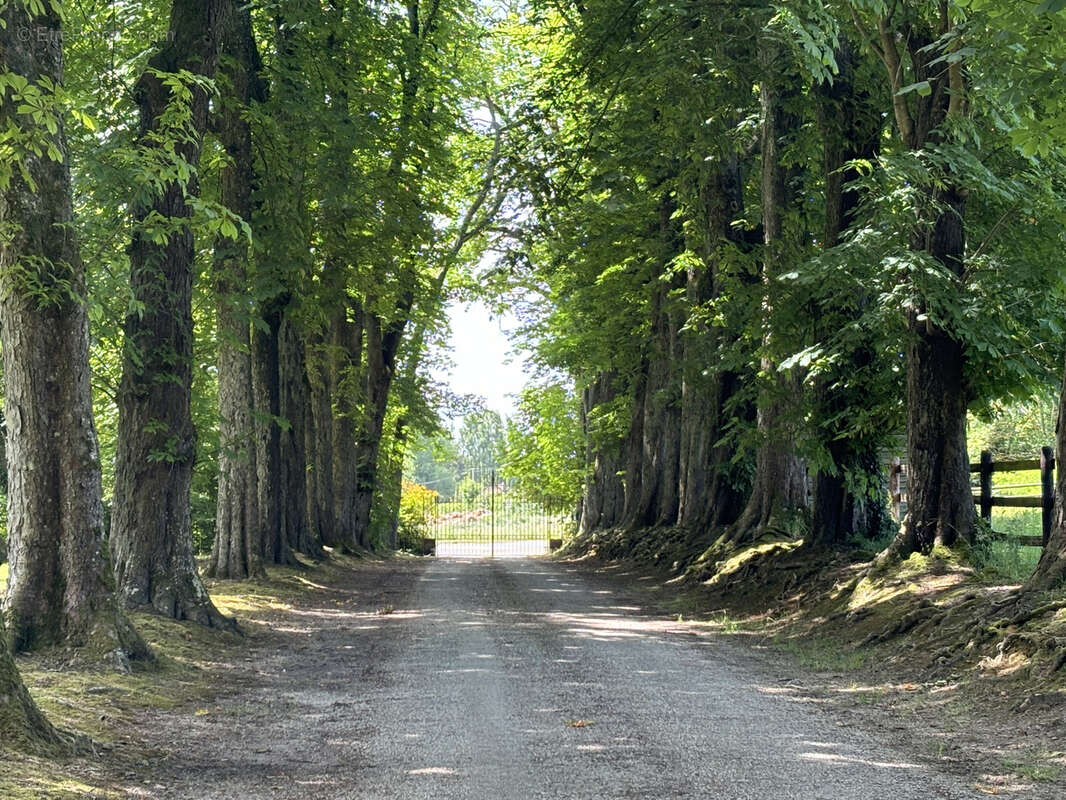 Maison à MORTAGNE-AU-PERCHE