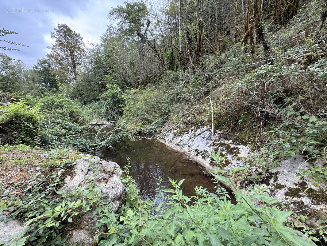 Propriete d'exception - mas de type f6 sur 41 hectares - sud de la france - photo 30