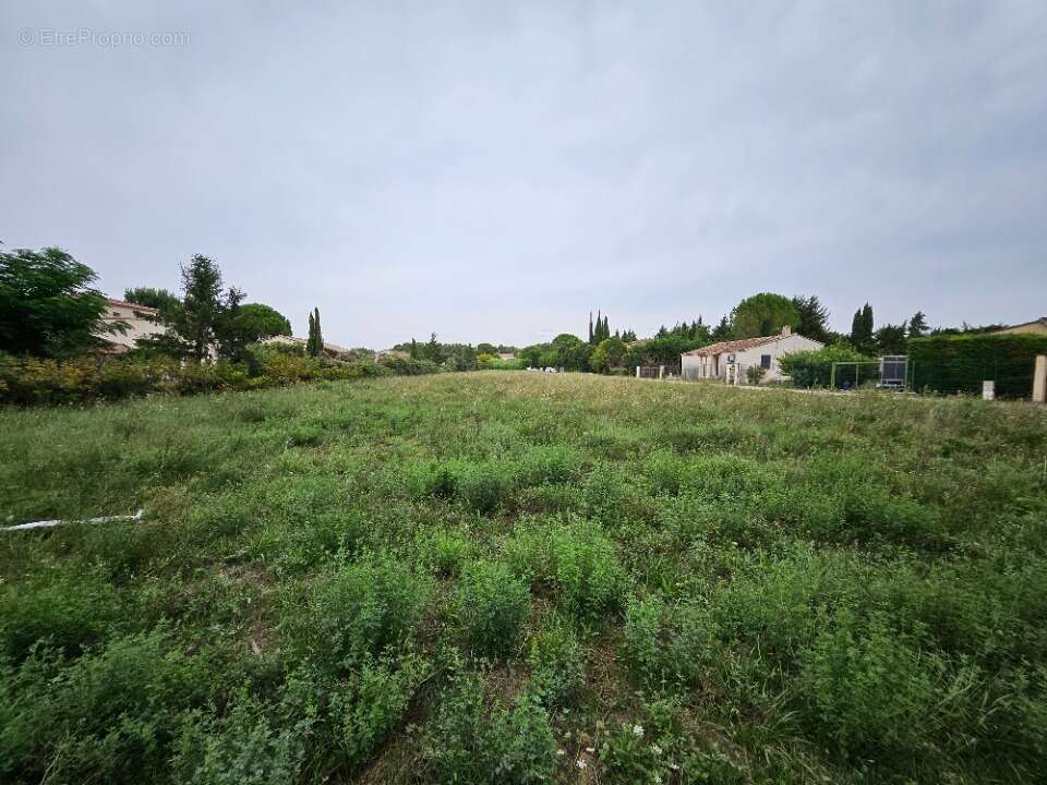Terrain 600 m² à Fontvieille  - photo 4