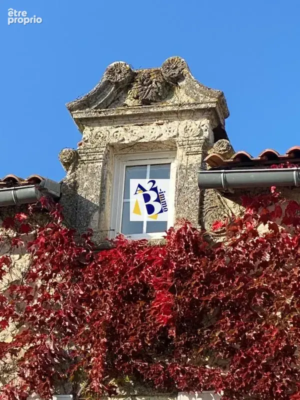 Maison de 300 m2 à ANGOULEME en hôtel particulier remarquable - photo 5
