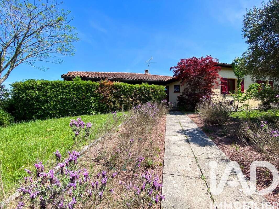 Photo 9 - Maison à ROUFFIAC-TOLOSAN