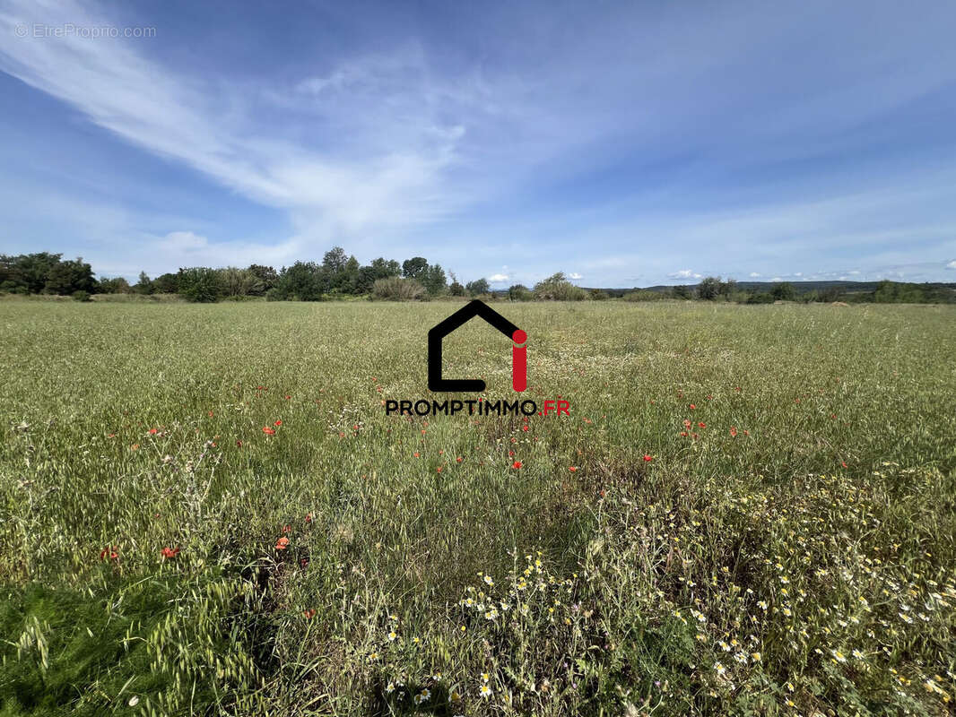 Terrain 6900 m² à Canet  - photo 3