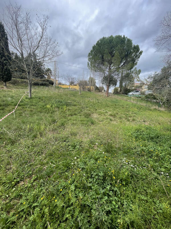 Terrain à PUILACHER