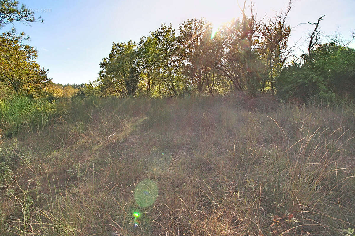 Terrain à SAINT-ANTONIN-DU-VAR