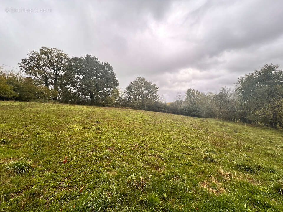 Terrain à SANSAC-DE-MARMIESSE