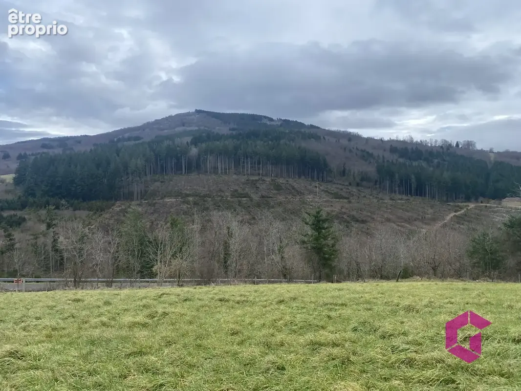 Photo Terrain à Vollore-Ville au prix de 60 000€
